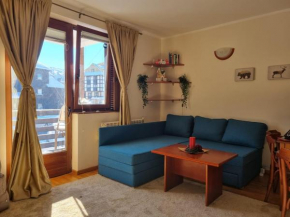 Apartman Vrh,Kopaonik